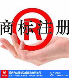 北碚工商變更指南 向企而創(chuàng)，助推文化藝術(shù)交流咨詢(xún)發(fā)展