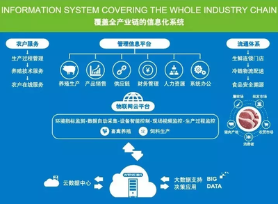 中國生豬產業企業數字化發展加速 牧原、溫氏、正邦、新希望積極布局